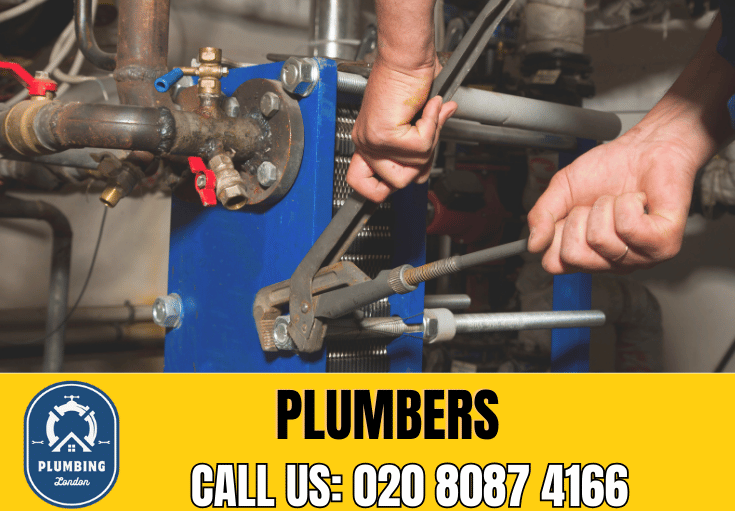  plumber Hurlingham